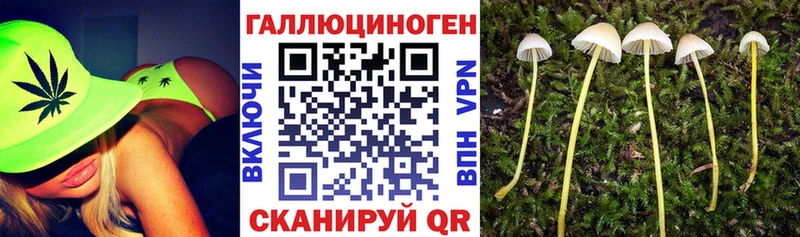 цены Яранск Галлюциногенные грибы GOLDEN TEACHER